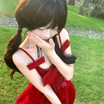 监察局长